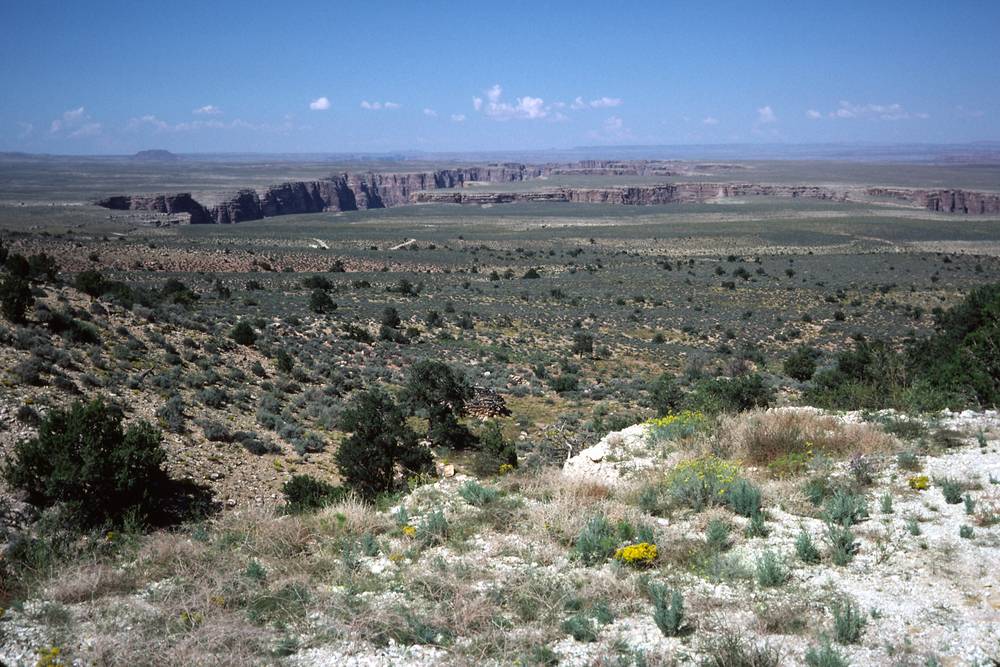 Sept. 18, 1981 - Near the east entrance to the South Rim of the Grand Canyon, Arizona.<br />The canyon of the Little Colorado in the distance.