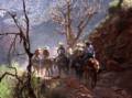 Sept. 19, 1981 - South Rim of the Grand Canyon, Arizona.<br />A short walk down and back along Bright Angel Trail.<br />The tail end of the group of mule riders.