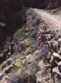 Sept. 19, 1981 - South Rim of the Grand Canyon, Arizona.<br />A short walk down and back along Bright Angel Trail.