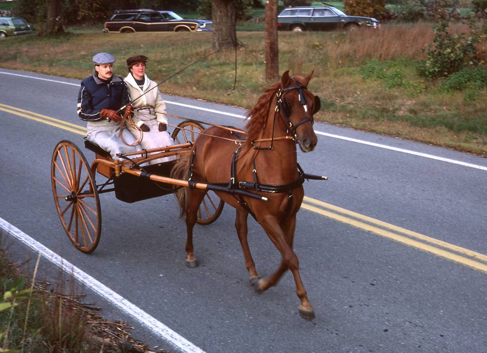Oct. 3, 1981 - North Andover, Massachusetts.<br />Carriage parade.