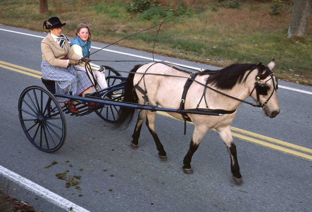 Oct. 3, 1981 - North Andover, Massachusetts.<br />Carriage parade.