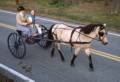 Oct. 3, 1981 - North Andover, Massachusetts.<br />Carriage parade.