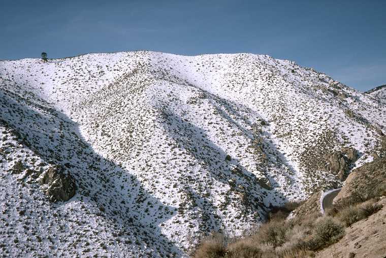 Jan. 24, 1982 - Between State Line and Reno, Nevada.<br />View from US-50 west of Carson City.