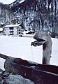 March 3, 1982 - Zermatt, Switzerland.<br />Waterspout and trough at Winkelmatten.