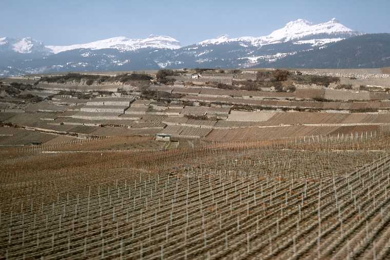 March 6, 1982 - Between Zermatt and Lausanne, Switzerland.