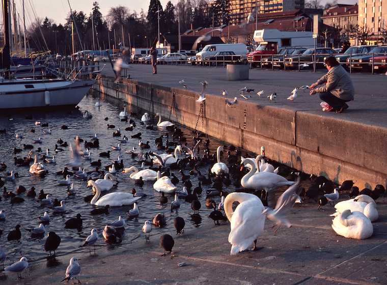 March 6, 1982 - Lausanne, Switzerland.