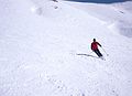 March 7, 1982 - Val d'Isere, France.<br />Oscar carving a perfect parallel turn.