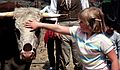 May 1, 1982 - Sturbridge Village, Massachusetts.<br />Laila.