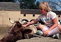 May 1, 1982 - Sturbridge Village, Massachusetts.<br />Laila.