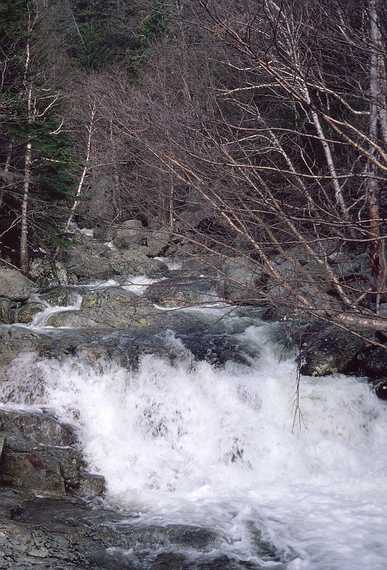 May 8, 1982 - Tuckerman Ravine on Mt. Washington, New Hampshire.<br />Cutler River 0.3 miles from Pinkham Notch visitors center.