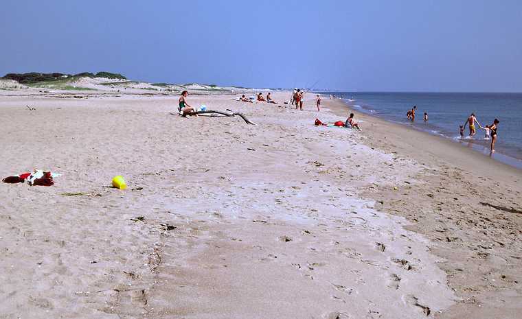 July 18, 1982 - Parker River National Wildlife Refuge, Plum Island, Massachusetts.