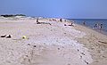 July 18, 1982 - Parker River National Wildlife Refuge, Plum Island, Massachusetts.