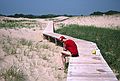 July 18, 1982 - Parker River National Wildlife Refuge, Plum Island, Massachusetts.<br />Jim.