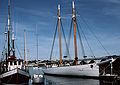 Oct. 3, 1982 - Cape Ann, Massachusetts.<br />Bicycling with Jim.<br />Gloucester harbor.