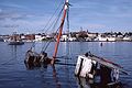 Oct. 3, 1982 - Cape Ann, Massachusetts.<br />Bicycling with Jim.<br />Gloucester harbor.