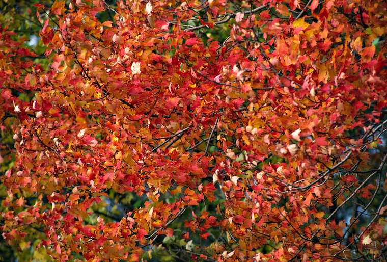 Oct. 14, 1982 - Barker Street, North Andover, Massachusetts.