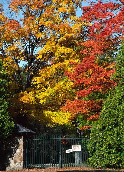 Oct. 16, 1982 - North Andover, Massachusetts.