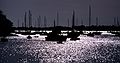 Oct. 24, 1982 - Manchester by the Sea, Massachusetts.<br />The harbor.