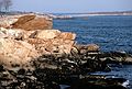 April 23, 1983 - Manchester by the Sea, Massachusetts.<br />Alberts', Arnolds', Juris' and Laila's birthday party.<br />Sharks Mouth on Curtis Estate.