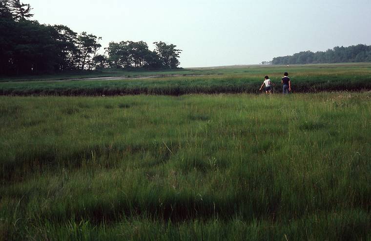 July 2, 1983 - Rachel Carson National Wildlife Refuge, Wells, Maine.<br />Eric and Carl in the middle of a salt marsh