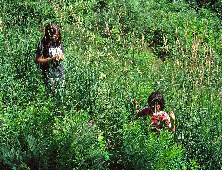 July 9, 1983 - Gunstock Ski Area, New Hampshire.<br />Joyce and Melody on an overgrown ski trail.