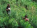 July 9, 1983 - Gunstock Ski Area, New Hampshire.<br />Joyce and Melody on an overgrown ski trail.