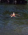 August 20, 1983 - Saco River downstream from Fryeburg, Maine.<br />Melody.