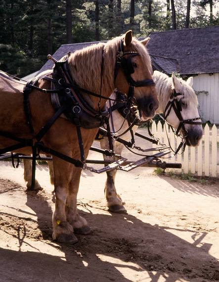 July 22, 1984 - Sturbridge Village, Massachusetts.