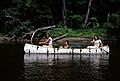 July 28, 1984 - On the Saco River downstream from Fryeburg, Maine<br />Baiba, Melody, and Joyce.
