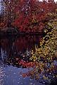 October, 1984 - North Andover, Massachusetts.<br />Appalachian Mountain Club hike.<br />Stevens Pond.