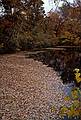 October, 1984 - North Andover, Massachusetts.<br />Appalachian Mountain Club hike.<br />Stevens Pond.
