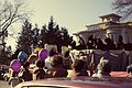 Dec 2, 1984 - Merrimac, Massachusetts.<br />Santa Parade.<br />Float with the pie and the blackbirds.