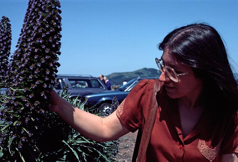 May 6, 1984 - Lime Point just north of the Golden Gate Bridge, Sausolito, California.<br />Joyce.