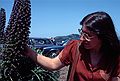 May 6, 1984 - Lime Point just north of the Golden Gate Bridge, Sausolito, California.<br />Joyce.