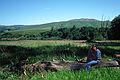 May 7, 1984 - Point Reyes National Seashore Visitor Center and Miwok Indian Village, California.<br />Joyce.
