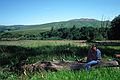 May 7, 1984 - Point Reyes National Seashore Visitor Center and Miwok Indian Village, California.<br />Joyce.