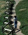 May 7, 1984 - Point Reyes National Seashore, California.<br />Joyce and fence.