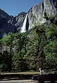 May 10, 1984 - Yosemite Valley in Yosemite National Park. California.<br />Joyce looking at Yosemite Falls.