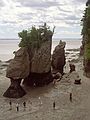 August 21, 1984 - Flower Pot Rocks at Hopewell Cape, New Brunswick, Canada.