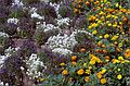 August 22, 1984 - Cape Tormentine? New Brunswick, Canada.<br />Flowers at the ferry terminal?