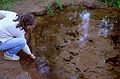 August 25, 1984 - Prince Edward Island National Park, Canada.<br />Joyce at the Bubbling Spring.