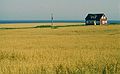 August 28, 1984 - Rustico, Prince Edward Island, Canada.