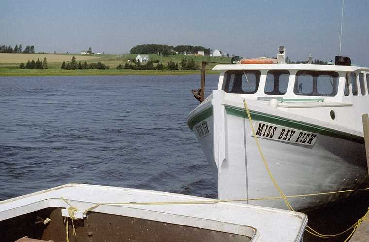 August 28, 1984 - Along Blue Heron Drive, north shore of Prince Edward Island, Canada.