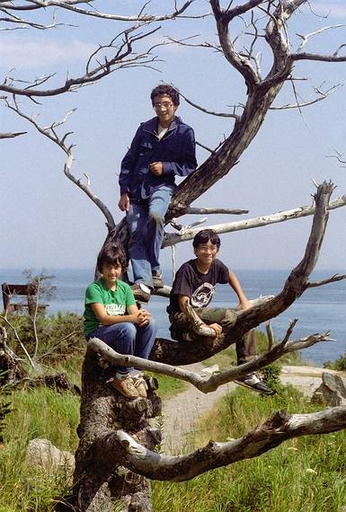August 31, 1984 - Quoddy Head State Park, Maine.<br />Melody, Eric, and Carl.