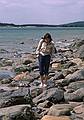 May 5, 1985 - Sandy Point State Reservation, Plum Islnad, Massachusetts.<br />Joyce.