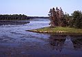 August 4-18, 1985 - Kouchibouguac National Park, New Brunswick, Canada.