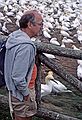 August 4-18, 1985 - Bonaventure Island off Perc, Quebec, Canada.<br />Egils.