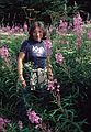 August 4-18, 1985 - Bonaventure Island off Perc, Quebec, Canada.<br />Joyce among fireweed in the middle of the island.