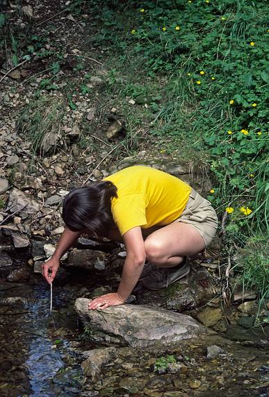 August 4-18, 1985 - , Gasp Peninsula, Quebec, Canada.<br />Forillon National Park.<br />Joyce.