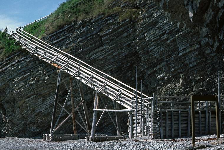 August 4-18, 1985 - , Gasp Peninsula, Quebec, Canada.<br />Forillon National Park.